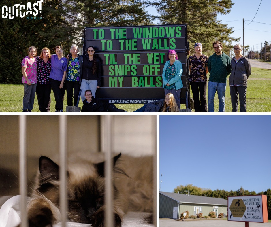 brockville spay and neuter clinic