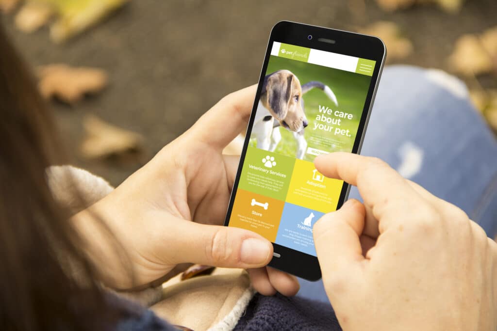 woman with pet website design phone in the park