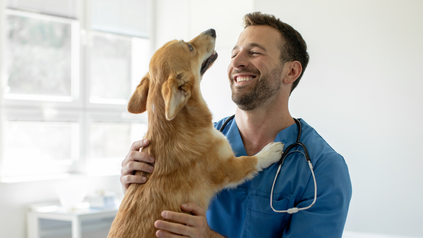 Veterinary On Hold Marketing | OVMA Members